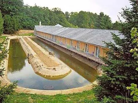 Motel Motel Dacice
